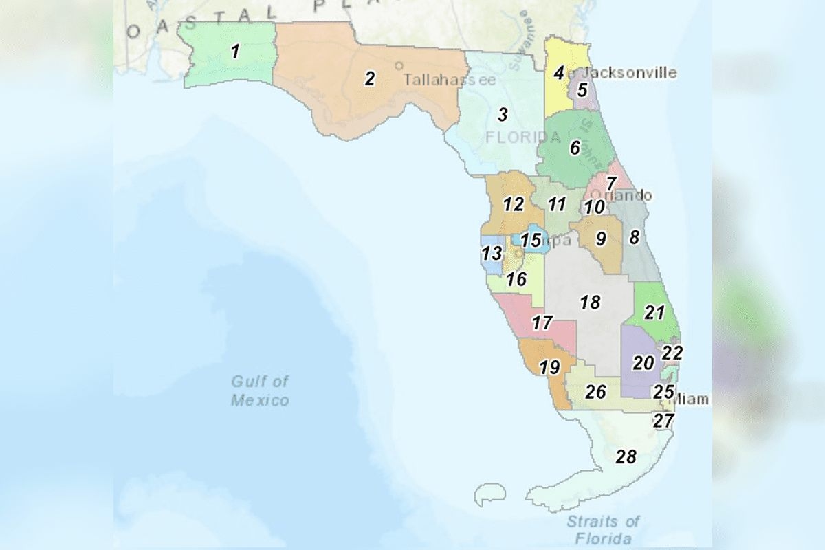 Ron DeSantis redistricting map for 2022 Special Legislative Session (@MappingFL, Twitter)
