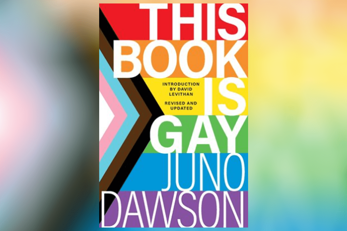 gay book1