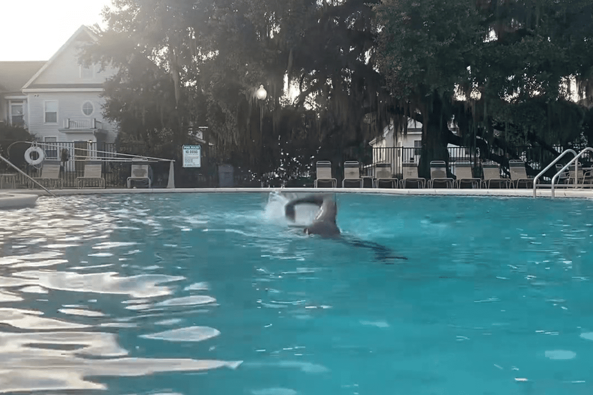 Video of Joseph A. Ladapo swimming.