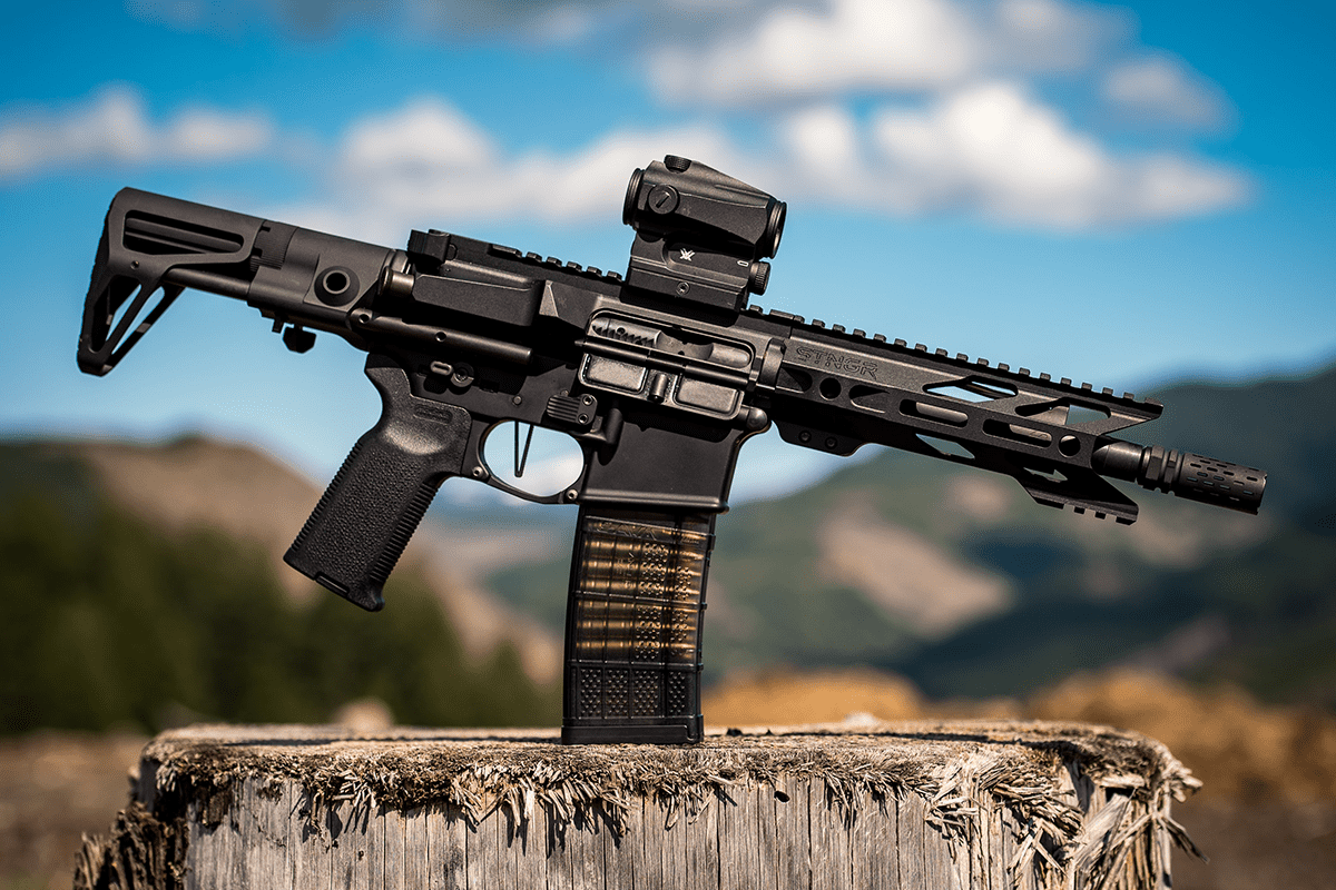 STNGR AR-15, June 2, 2020. (Photo/STNGR Industries)