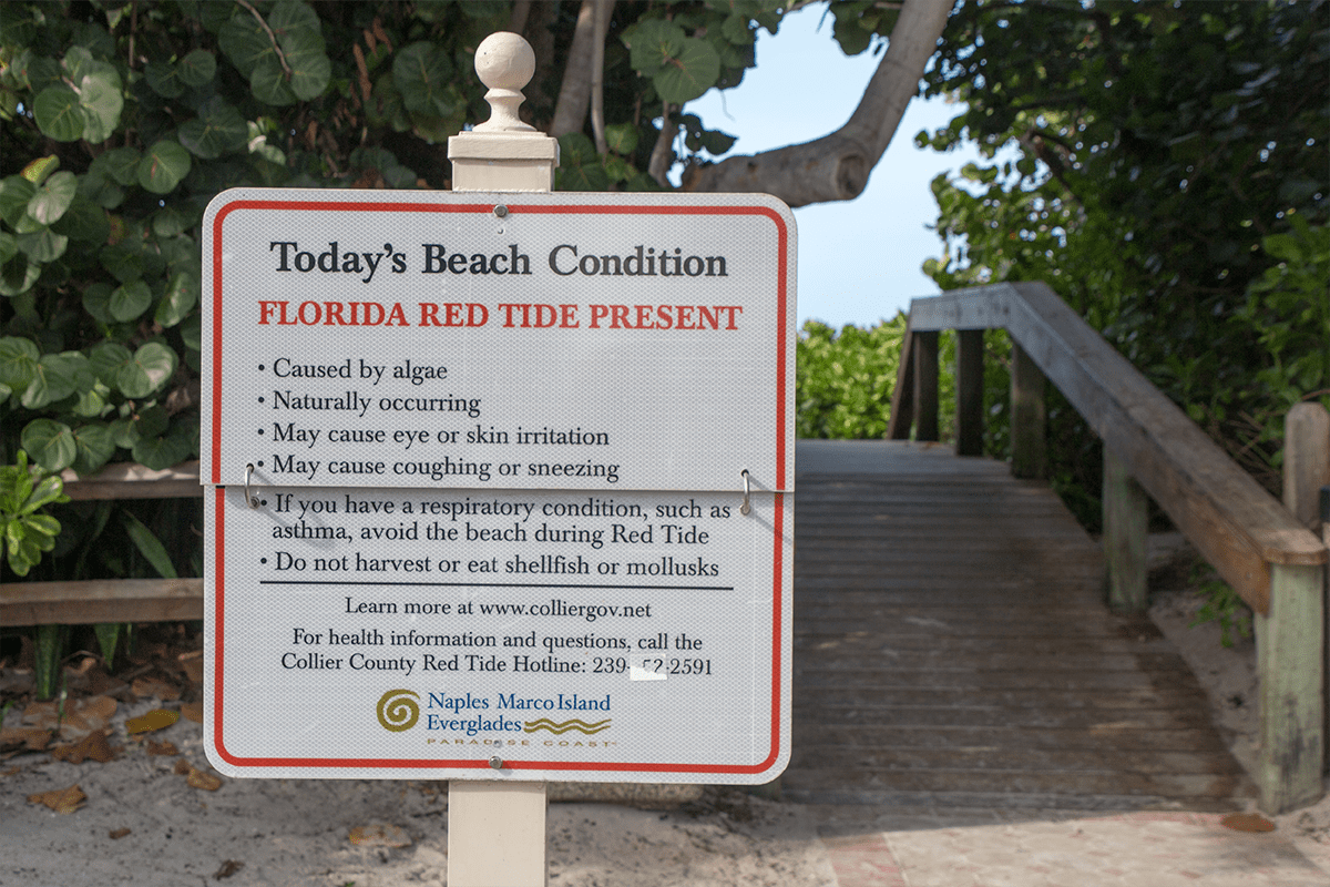 A "Florida Red Tide" sign on a beach in Naples, Fla., July 27, 2021. (Photo/Florida-Guidebook.com)