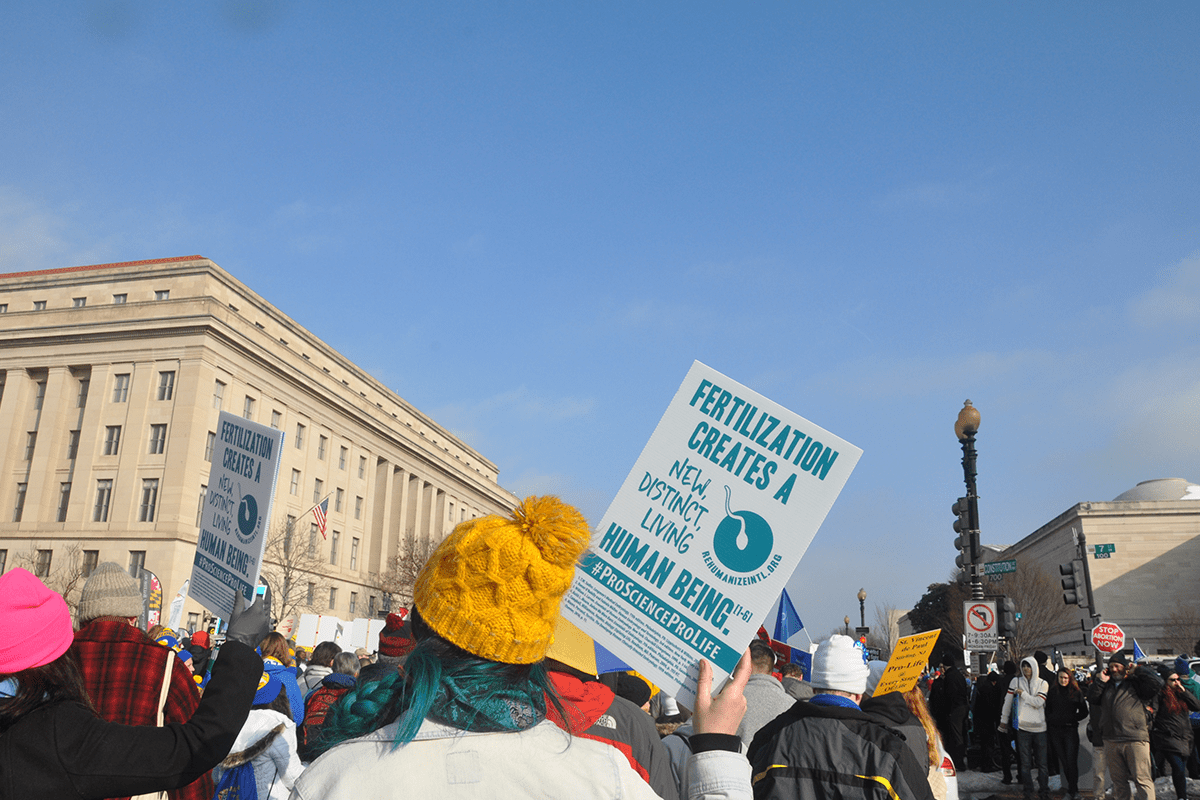 Pro-life demonstration, Washington, D.C., Feb. 12, 2019. (Photo/Maria Oswalt)