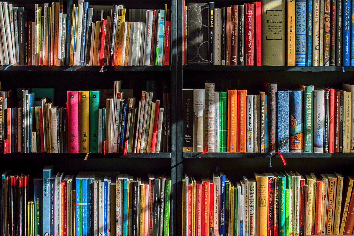 Books on a shelf. (Photo/Lubos Houska, Pixabay)