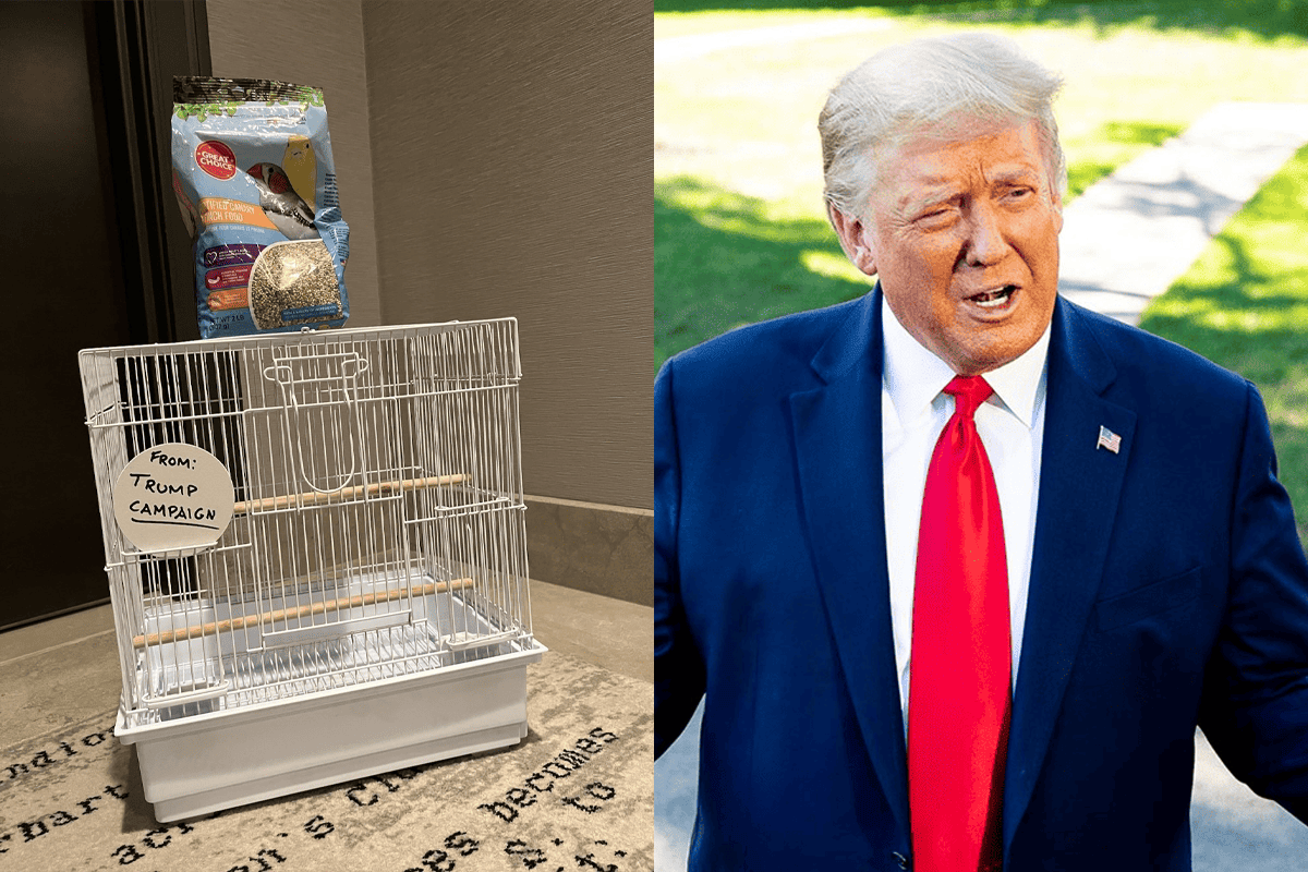 Birdcage and bird food left outside Nikki Haley's hotel room in Iowa, and former President Donald Trump. (Photos/Nikki Haley, X; The Trump White House Archived, Facebook)
