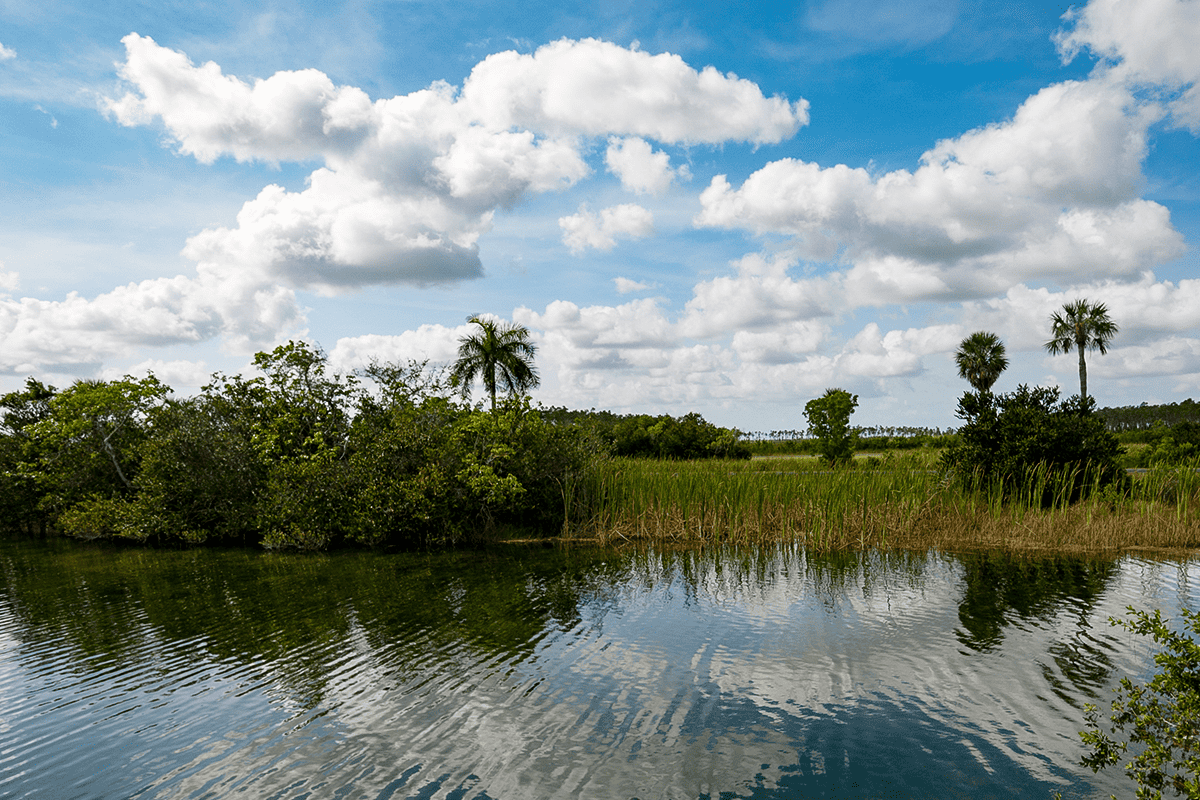 <a href=https://www.flickr.com/photos/xiquinho/53256807185>Florida Everglades, April 27, 2016.</a> (Photo/Xiquinhosilva, Flickr)