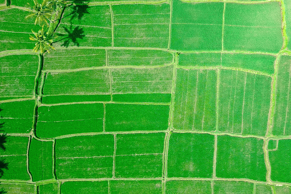 Aerial view of farmland, Feb. 19, 2018. (Photo/Joel Vodell, Unsplash)