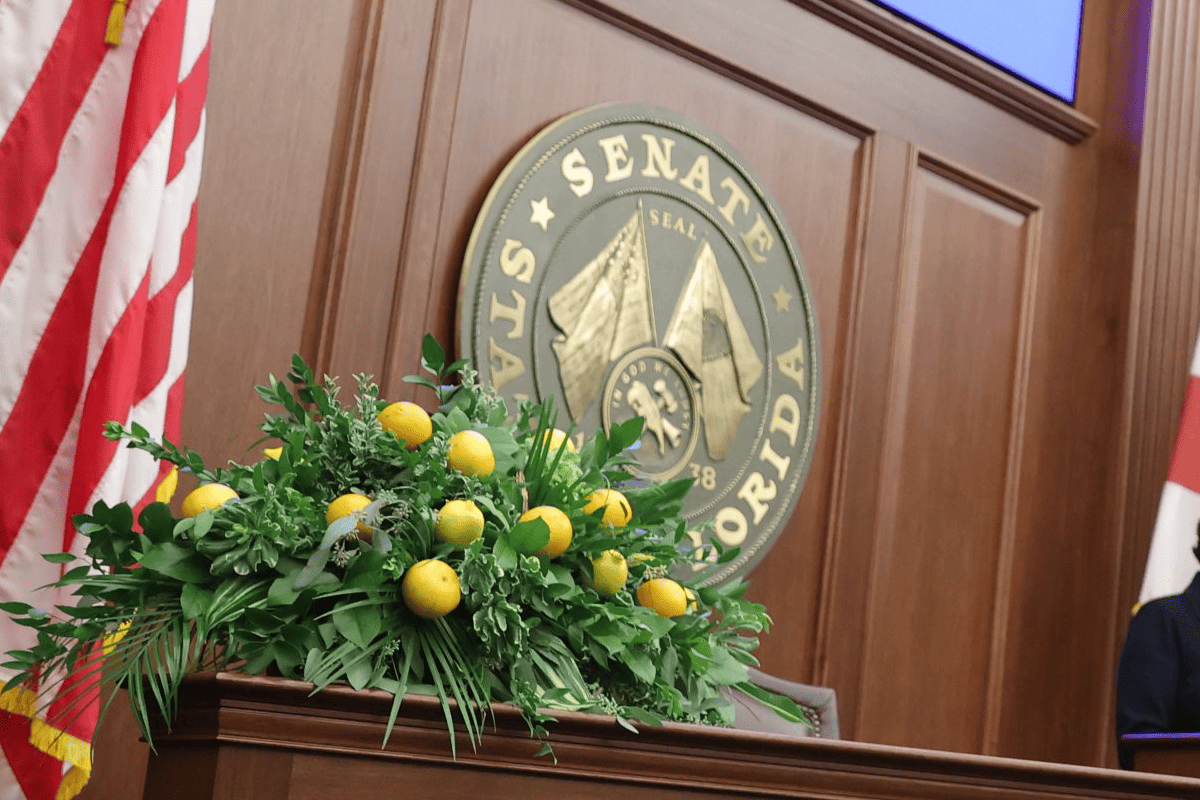 The Florida Senate, Tallahassee, Fla., Oct. 17, 2023. (Photo/Florida Senate)