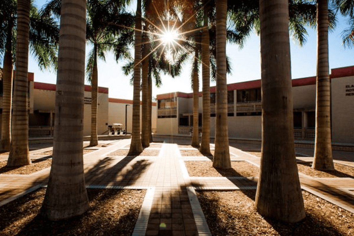 New College of Florida in Sarasota, Fla. (Photo/New College of Florida)