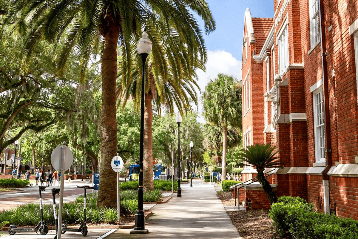University of Florida, Gainesville, Fla. (Photo/UF, Instagram)