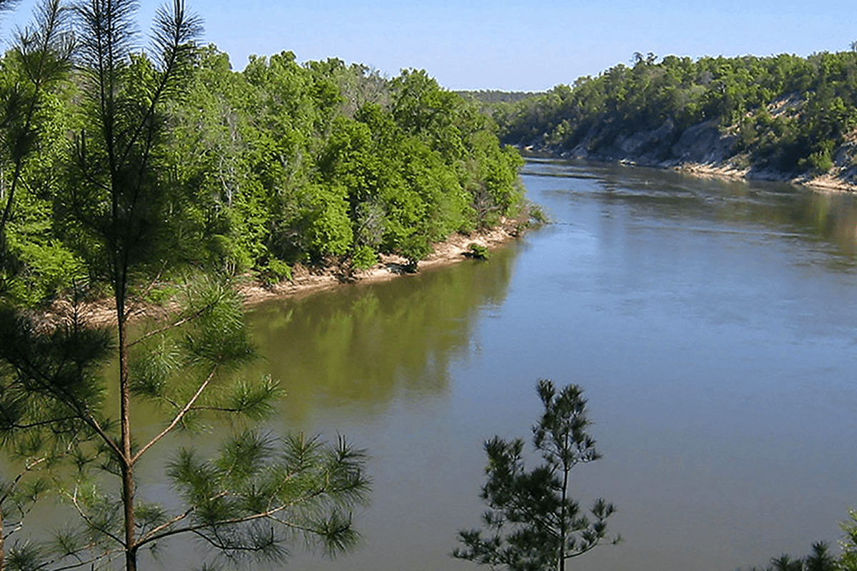 Apalachicola River in Florida. (Photo/U.S. Forest Service)