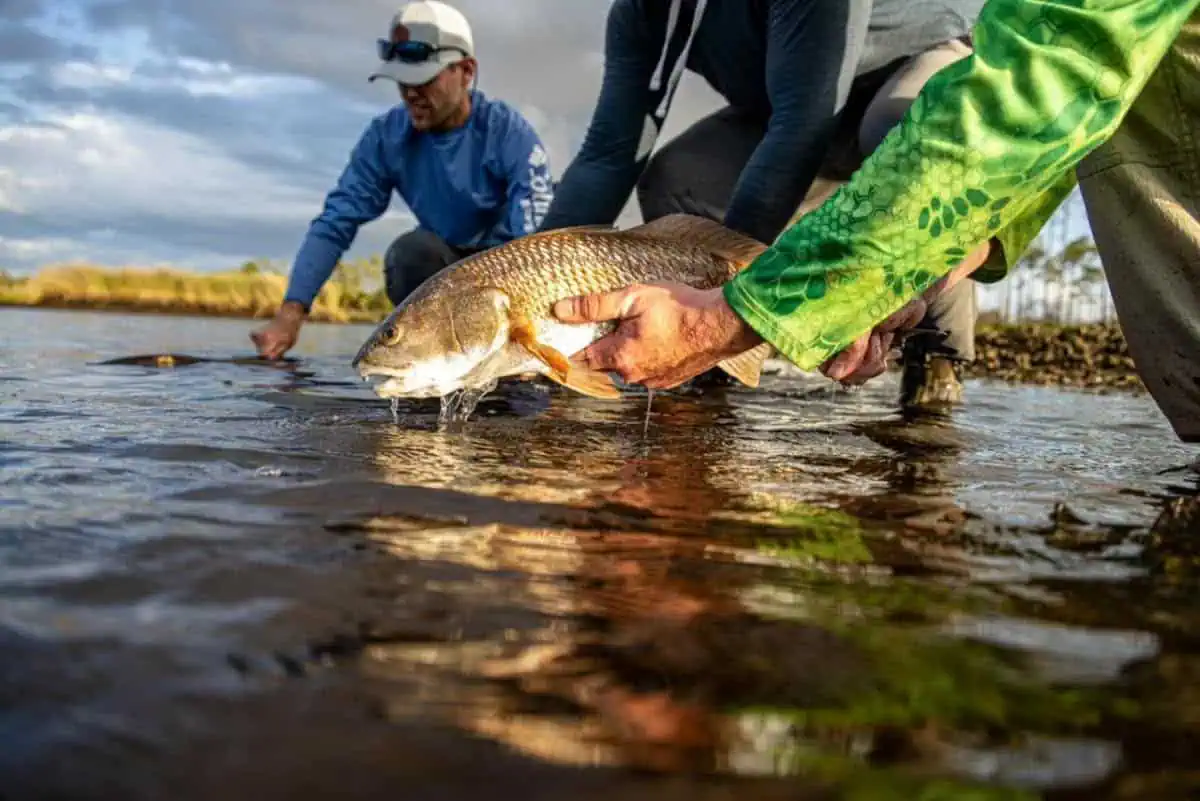 Anglers. (Photo/Vote Yes on Amendment 2)