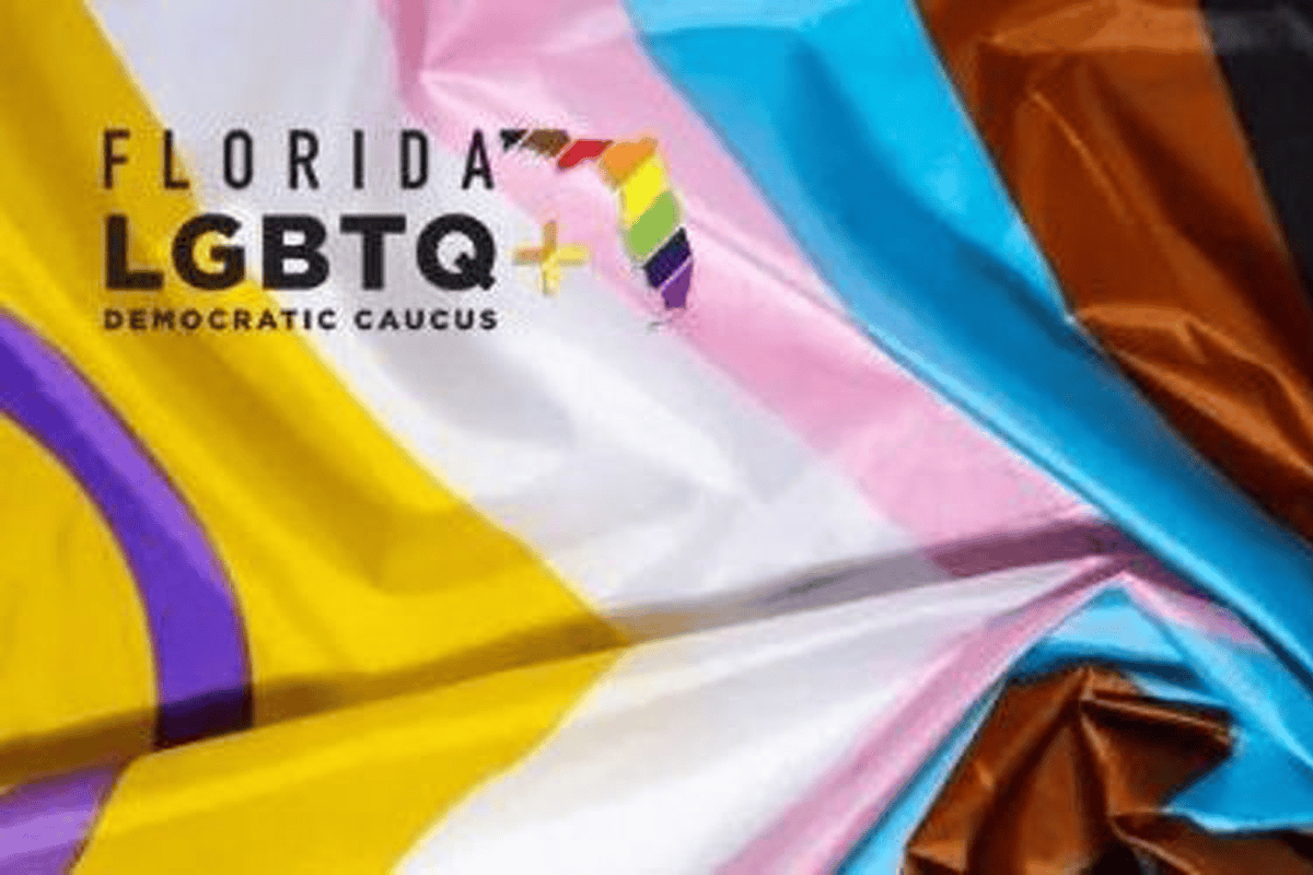 Florida LGBTQ+ Democratic Caucus, the statewide body with multiple chapters across the state, including the Flamingo Democrats. (Photo/Florida LGBTQ+ Democratic Caucus, X)