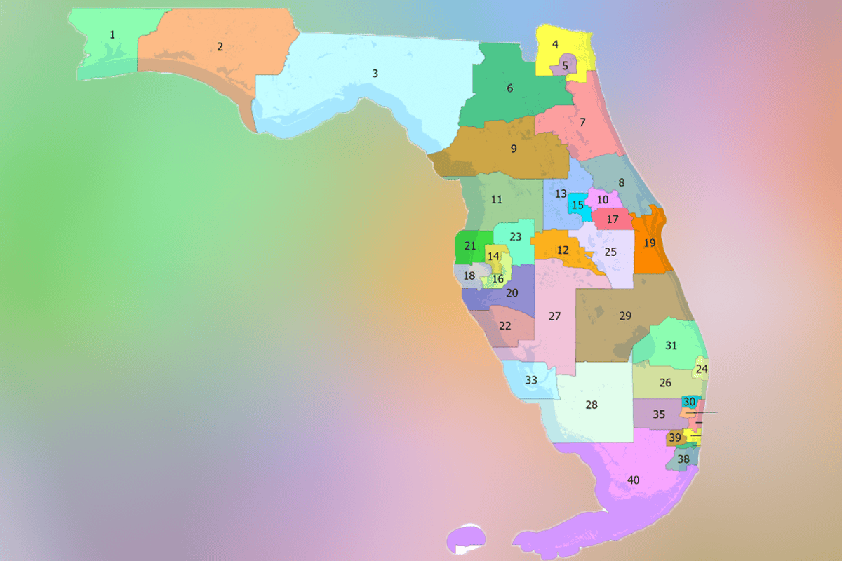 Map of Florida's State Senate districts. (Image/Florida Senate)