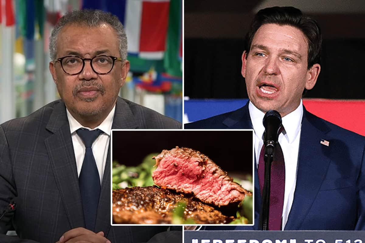WHO Director-General Tedros Adhanom Ghebreyesus, <a href=https://www.flickr.com/photos/gageskidmore/53467134646/>Gov. Ron DeSantis</a>, and a cooked piece of steak. Florida recently outlawed the production of cultivated meat. (Photos/WHO, YouTube; Gage Skidmore, Flickr; Justus Menke, Unsplash)