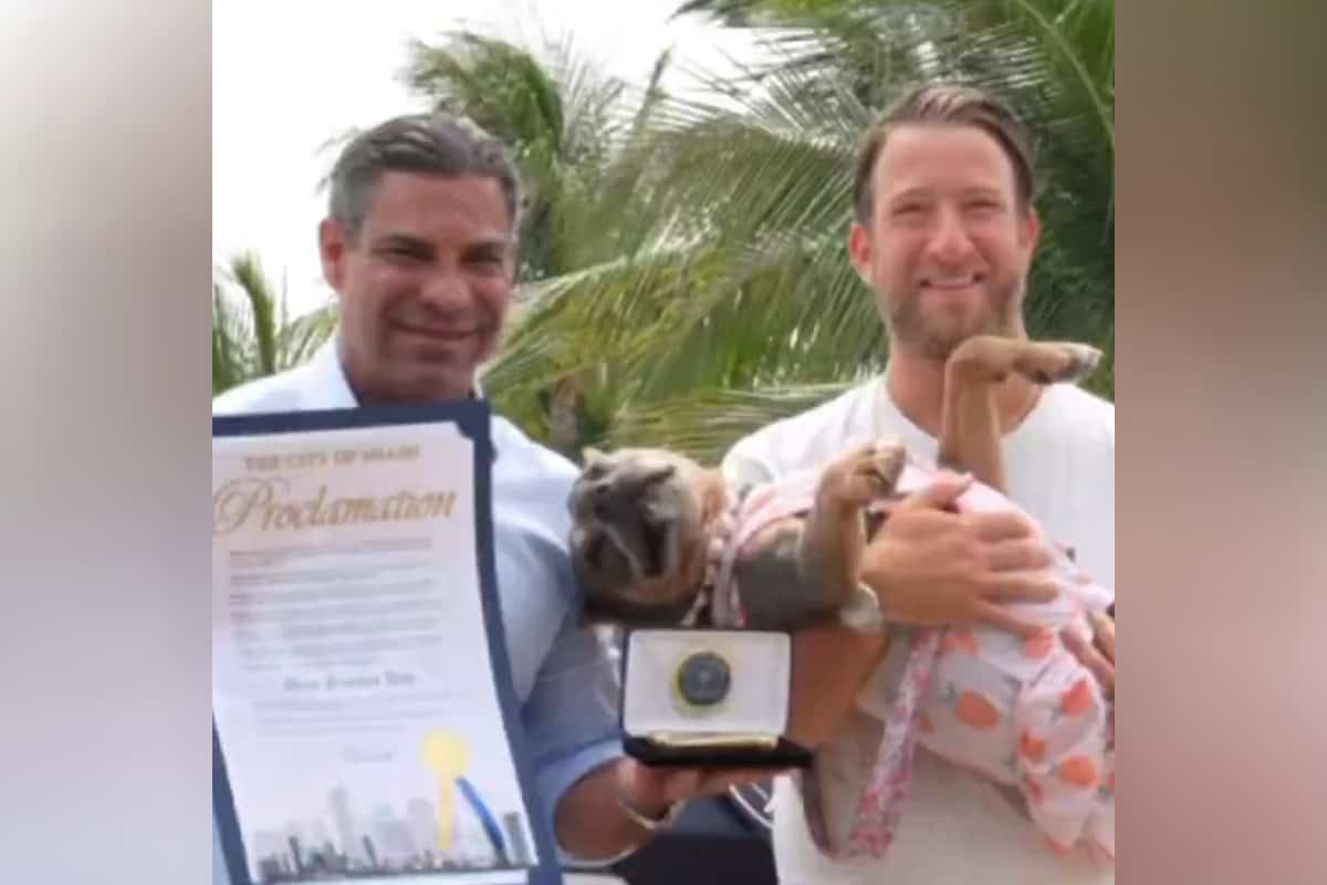 Miami Mayor Francis Suarez with David Portnoy. (Video/Suarez, X)
