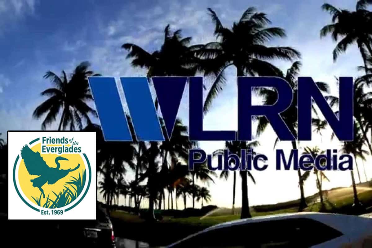 WLRN and Friends of the Everglades logos. (Images/WLRN; Friends of the Everglades)